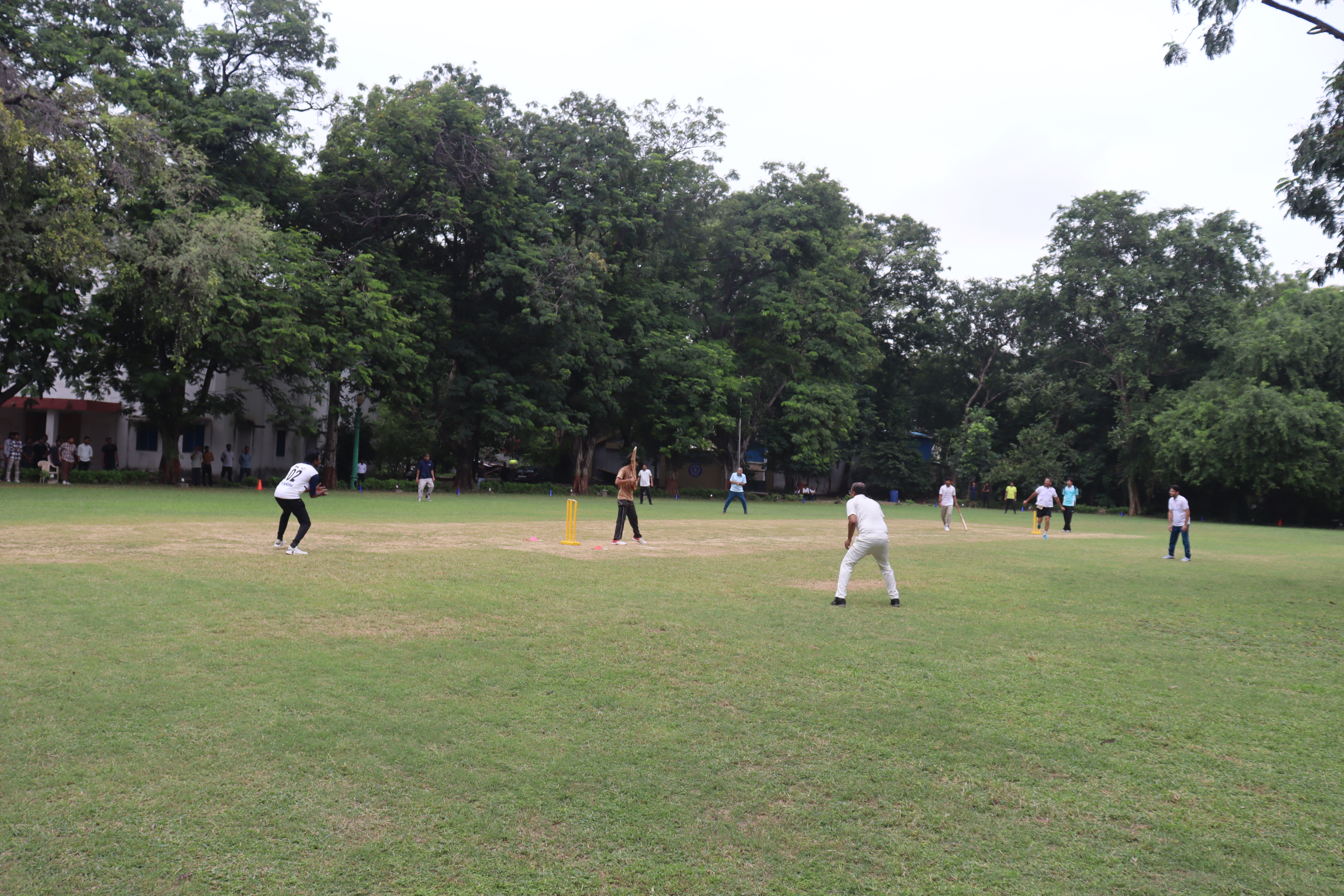 Cricket