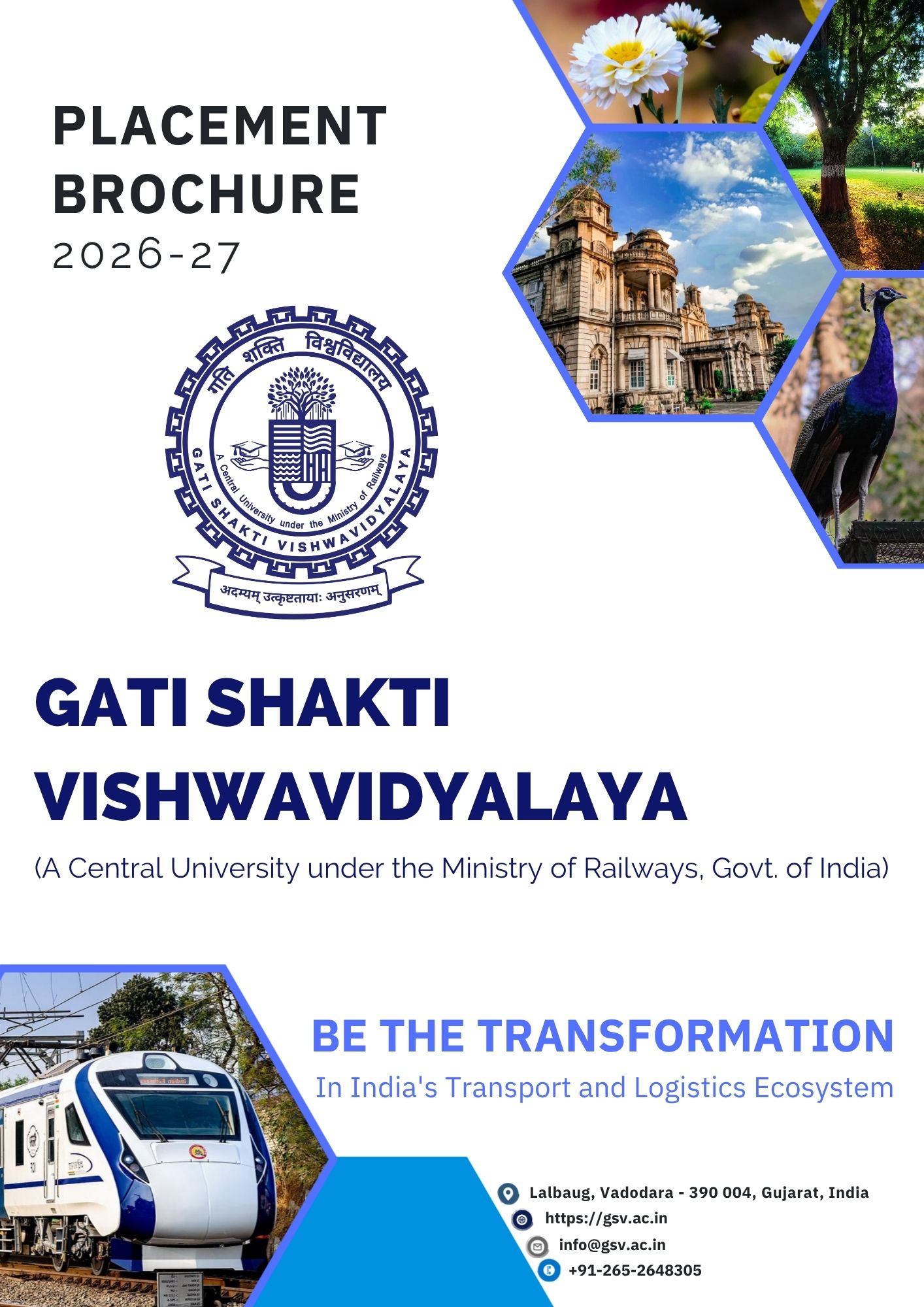 Placement Brochure